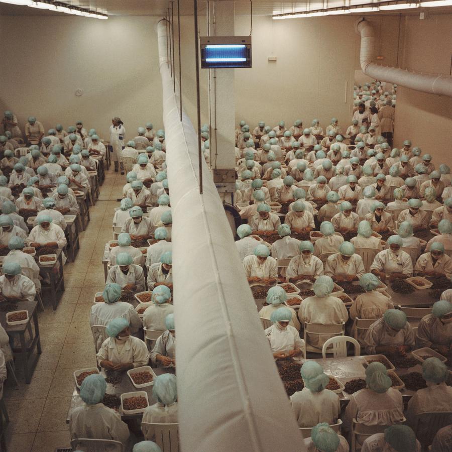 Usine conditionnement crevettes, 2 — Yto Barrada